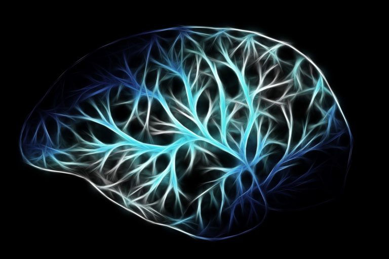 Brain Stuff