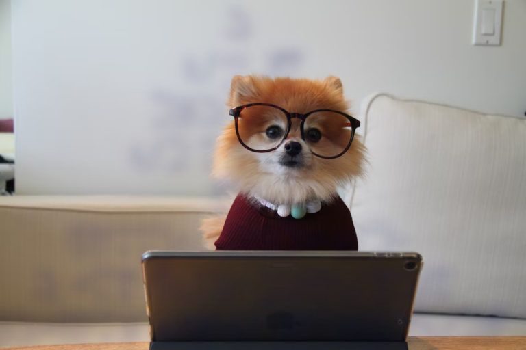A Stupid Negotiation That Freelancers Are Forced Into